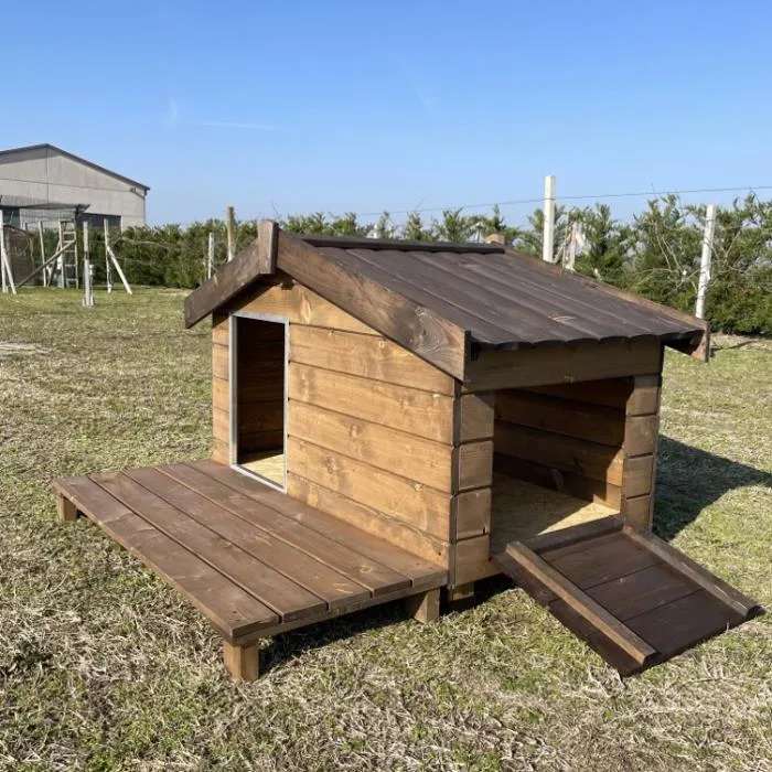 Il Verde Mondo Rex cuccia cane legno con terrazzo