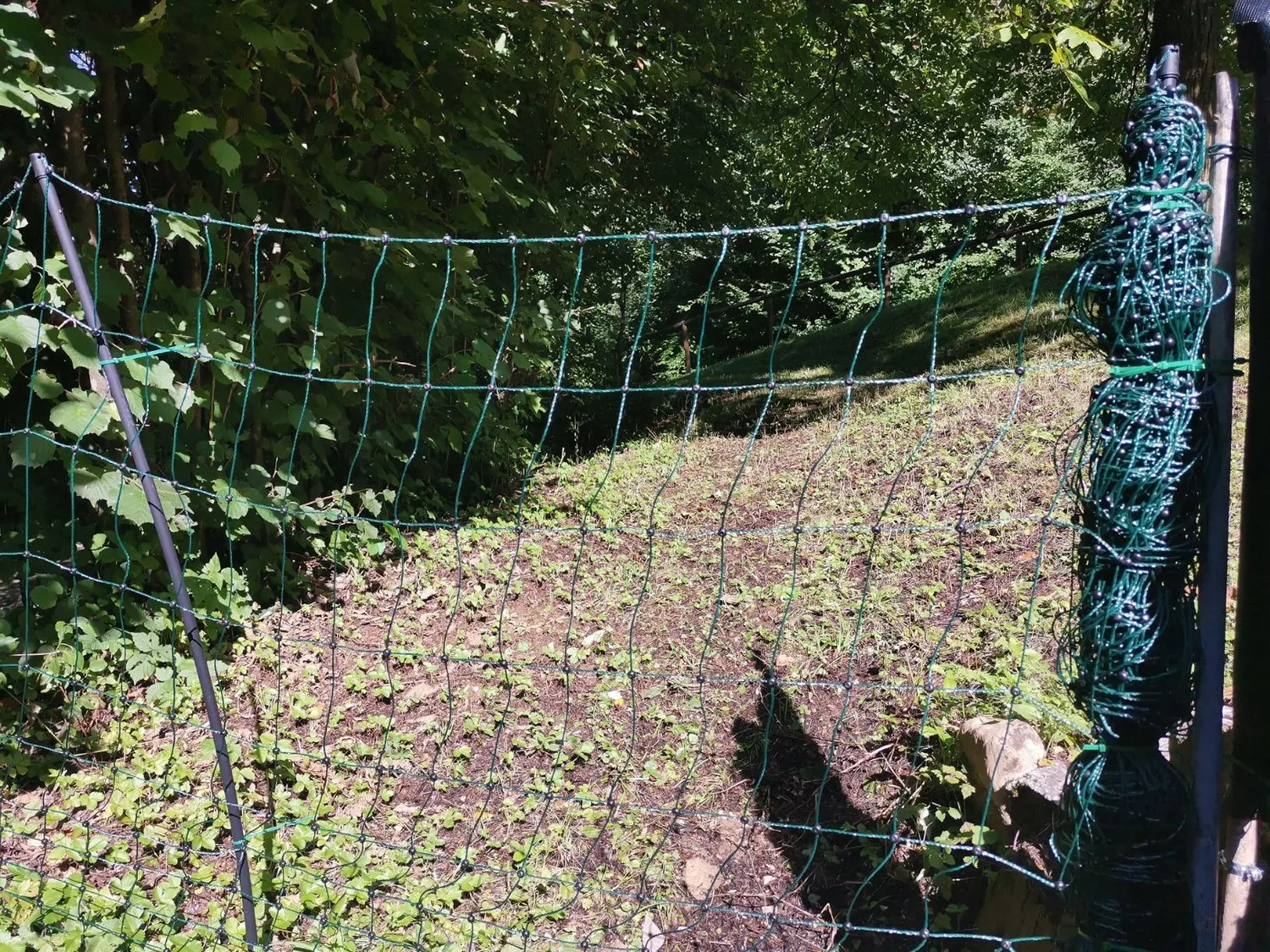 VOSS.farming Classic Rete Pollame Elettrificabile 50 m 112 cm Verde 16 Pali