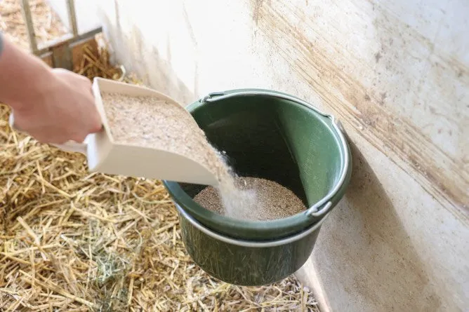 Beikircher Grünland Portasecchio Zincato Vitelli 28 cm