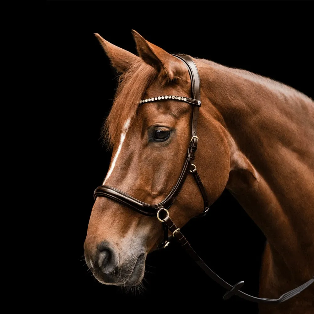 Waldhausen X-Line Sensation testiera bitless nera Cob con redini