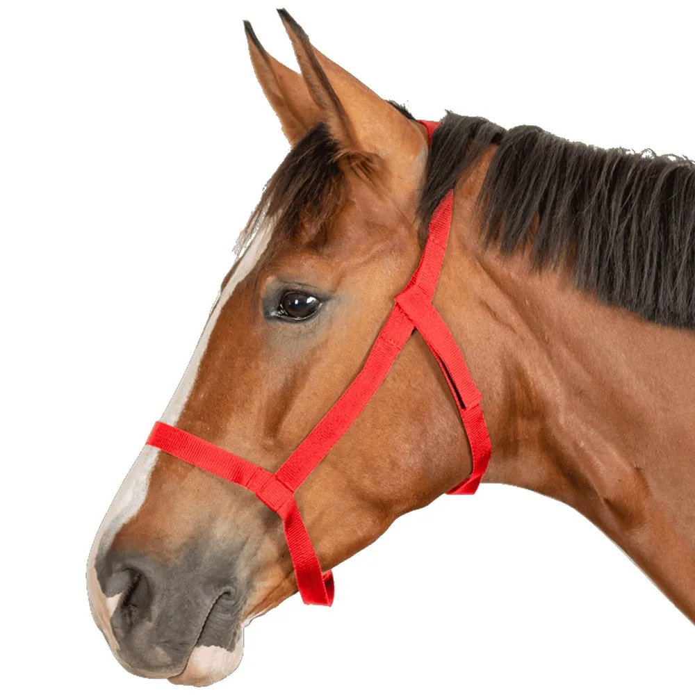 Capezza pascolo cavallo sicurezza strappo velcro