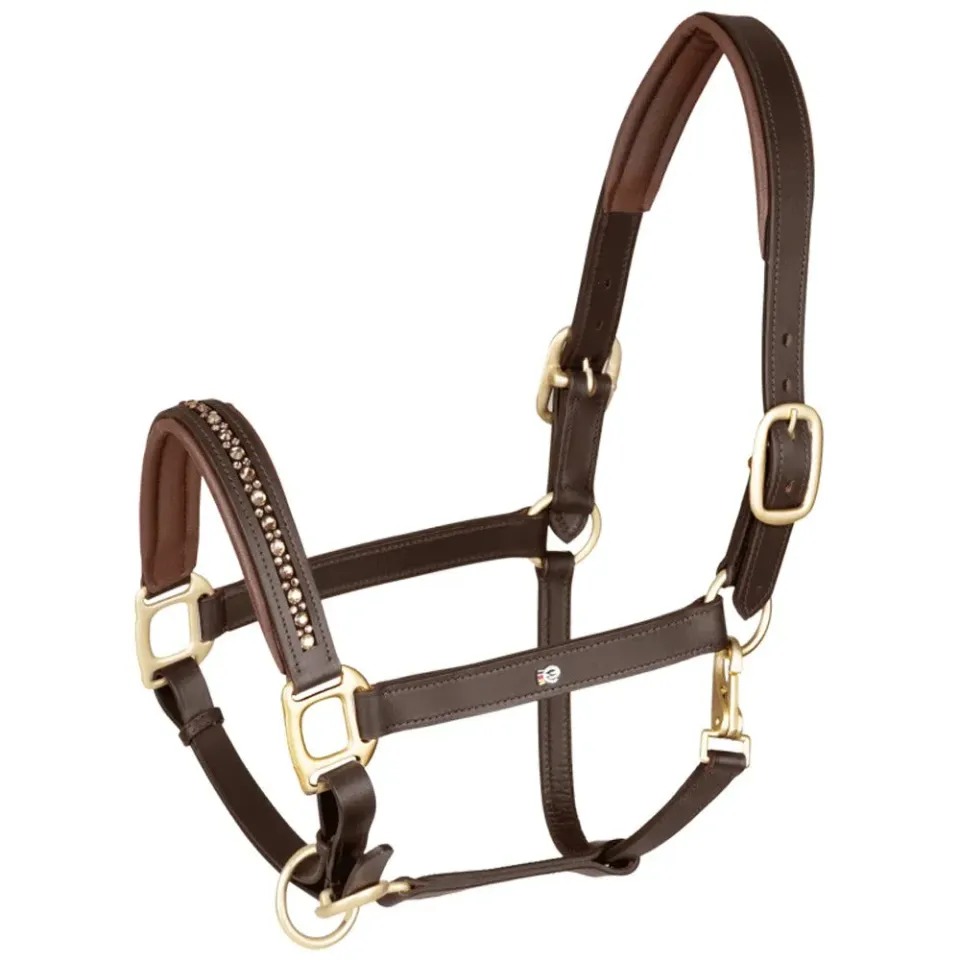 X-Line Crystal cavezza cuoio marrone Full strass concorso