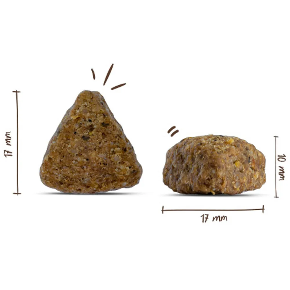 Bosch Adult crocchette cane anatra riso 1kg senza frumento