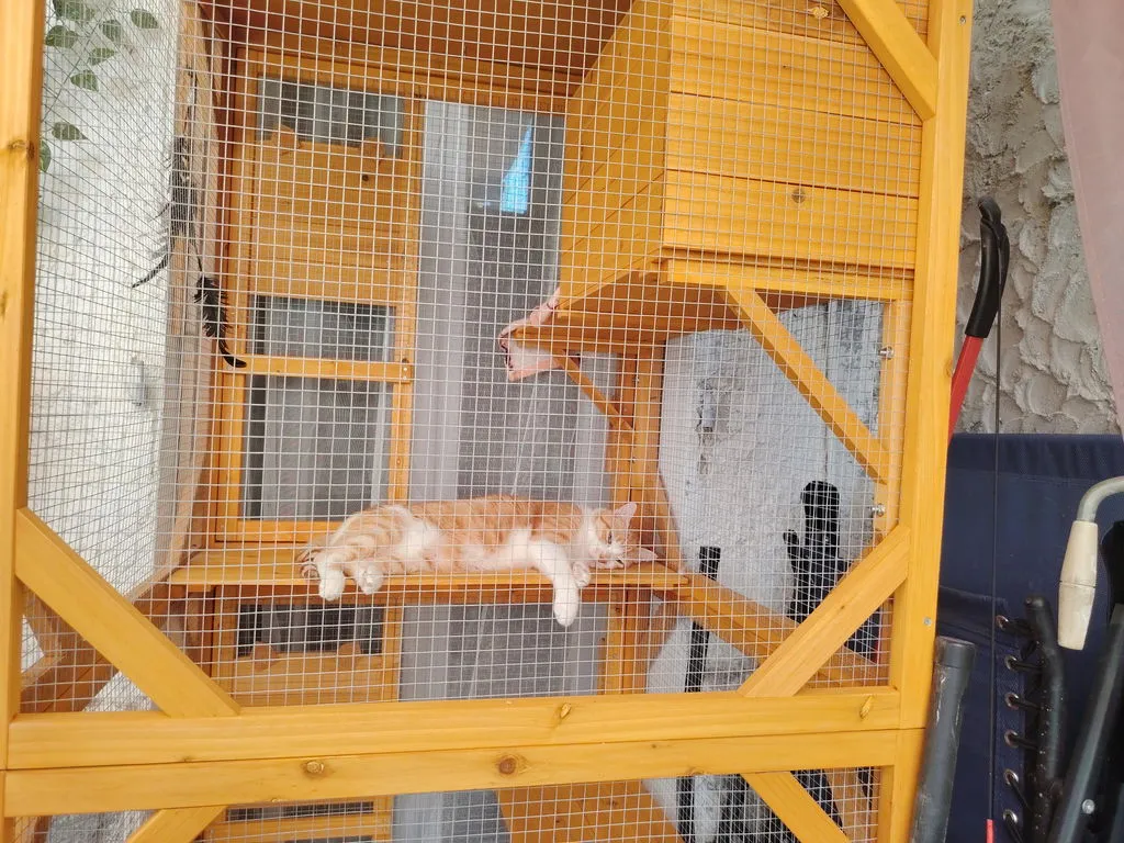 Il Verde Mondo Minou Cuccia Gatti Esterno con Zaino Figaro