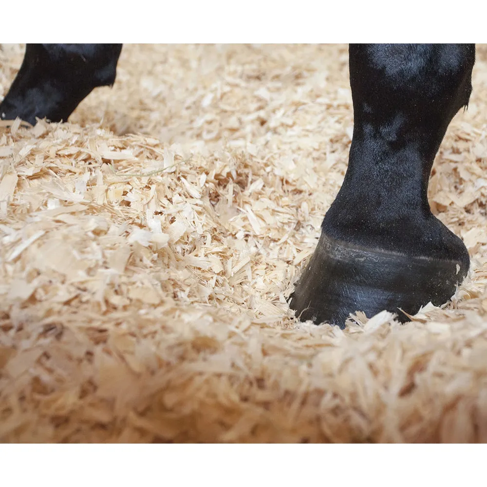 Allspan German Horse Xtreme lettiera cavalli 110 L depolverata