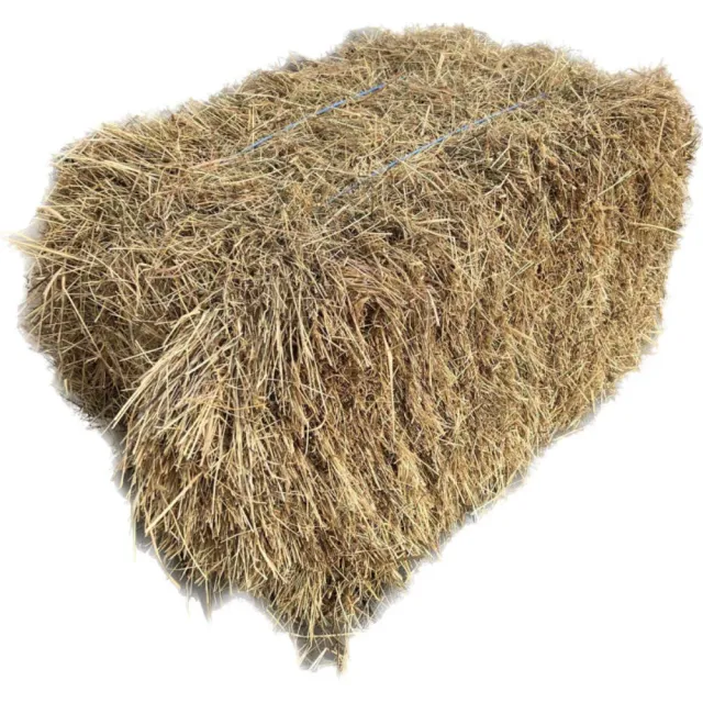 Beikircher Grünland fieno naturale conigli balla 20 kg 60 erbe