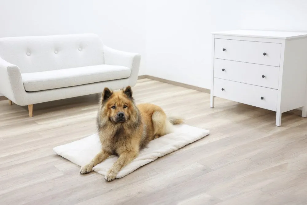 Beikircher Theo Cuscino Termico Cani Gatti 75x50 Beige
