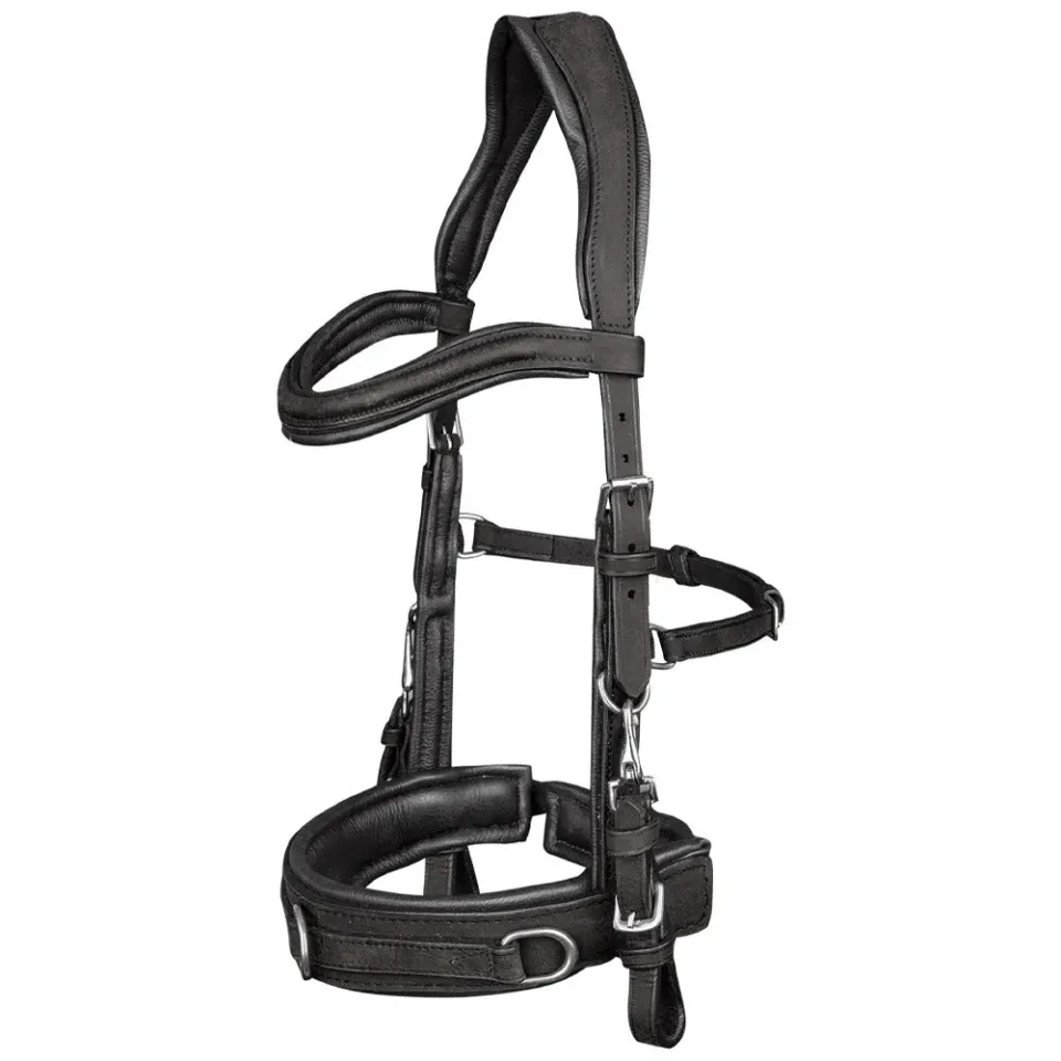 Beikircher Grünland capezza anatomica cuoio imbottita