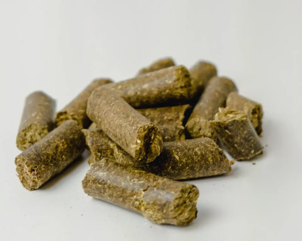 Siglhorse Angsthase snack cavalli alle fibre