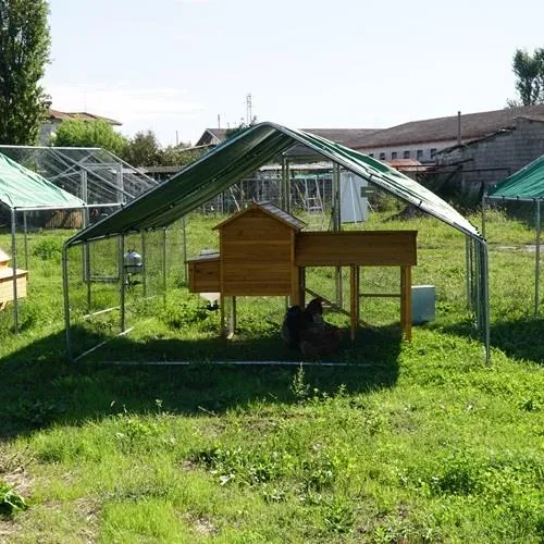 Il Verde Mondo Padovana Plus kit pollaio 4x4 completo automatico