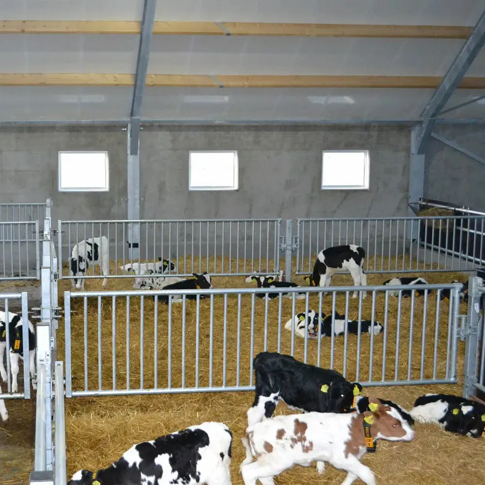Beikircher Grünland Divisorio Box Vitelli Tubi Verticali 2,50m