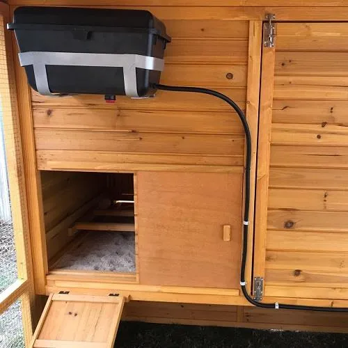 Il Verde Mondo Brahma XXXXL Plus kit pollaio legno con recinto