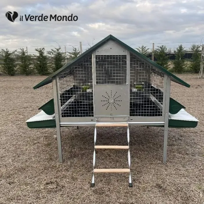 Il Verde Mondo Araucana pollaio ferro galline senza vassoio