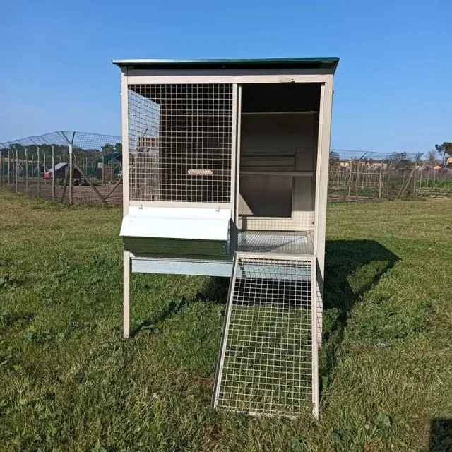 Il Verde Mondo Gastone pollaio ferro 80x145 per 3-4 galline