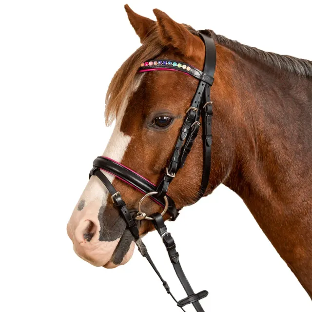 Beikircher Star Pinky briglia pony nera strass rosa