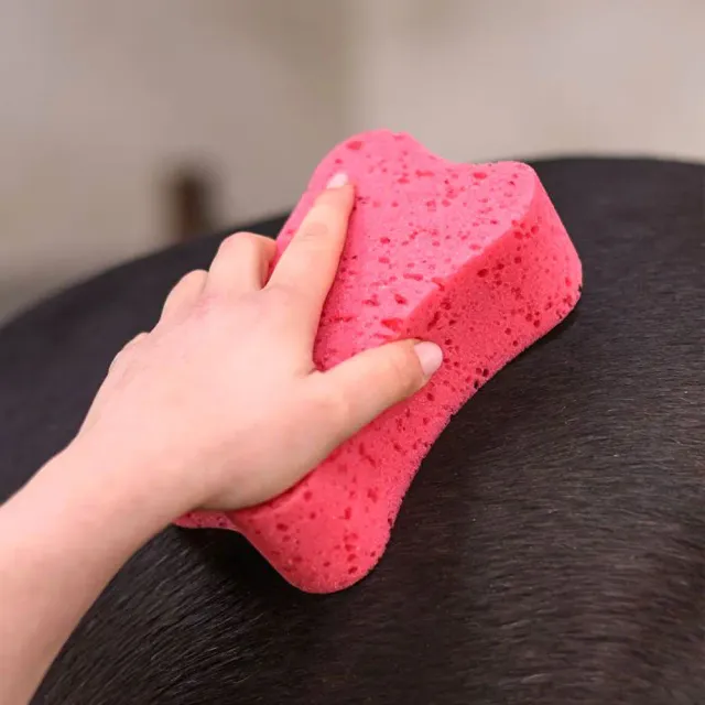 Beikircher Grünland Spugna Cavallo Rosa Morbida 16 cm
