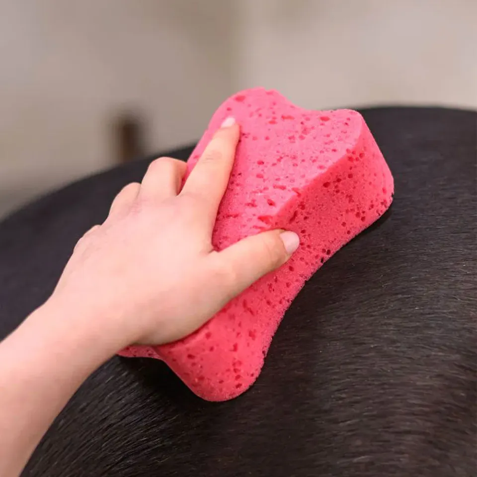 Beikircher Grünland Spugna Cavallo Rosa Morbida 16 cm