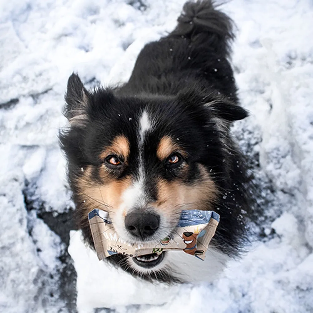 Bosch Sammy's Tooth Fairy Snack Dentale Cani Grandi Eucalipto
