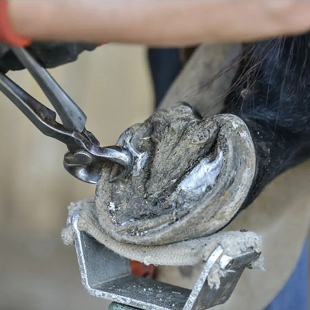 Knipex tenaglia per zoccoli bovini professionale 30 cm