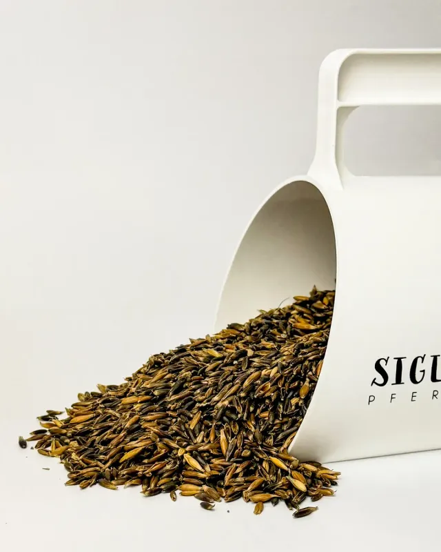 Siglhorse Schwarzhafer avena nera cavalli