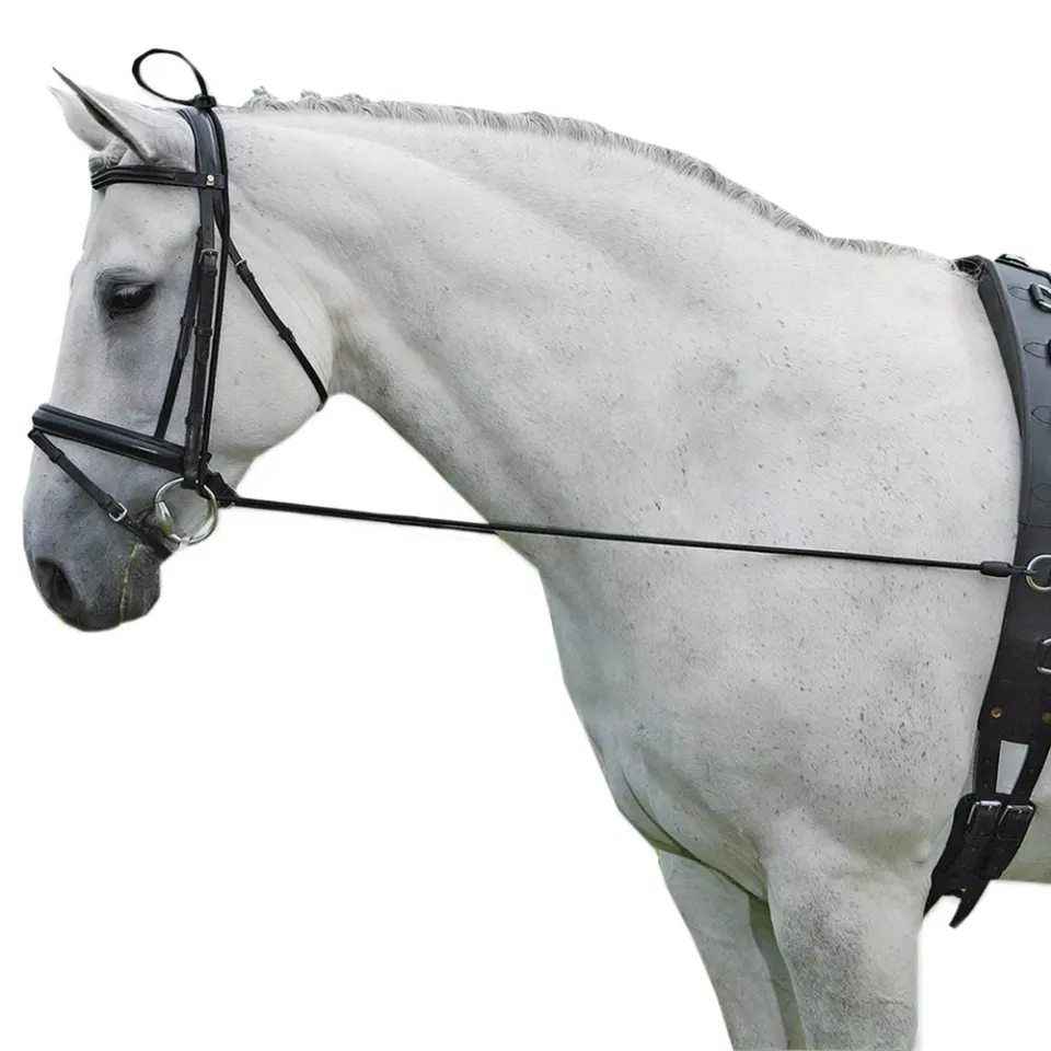 Beikircher Grünland redini elastiche cavallo nere PON