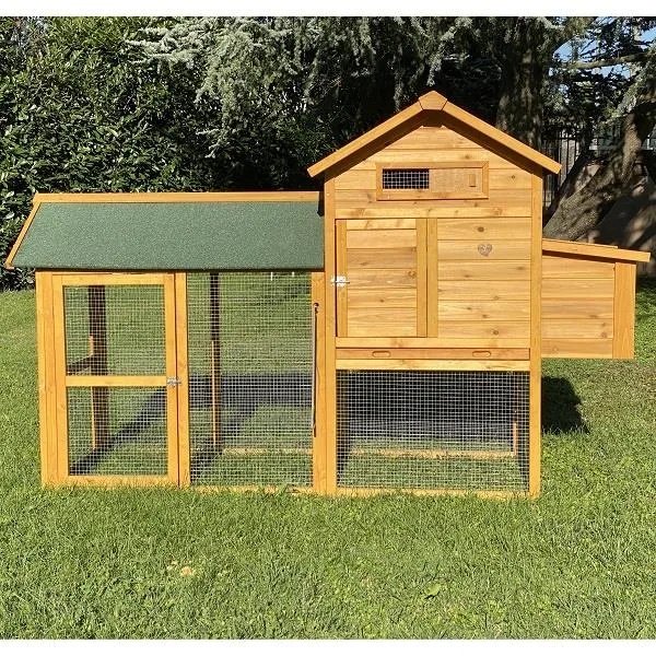 Il Verde Mondo Padovana XL Pollaio Legno 4-6 Galline Bitumato