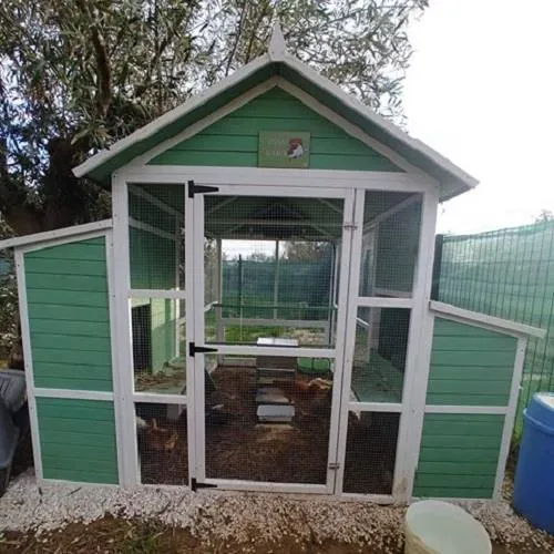 Il Verde Mondo Livorno XXXL Plus kit pollaio legno con recinto 10 galline