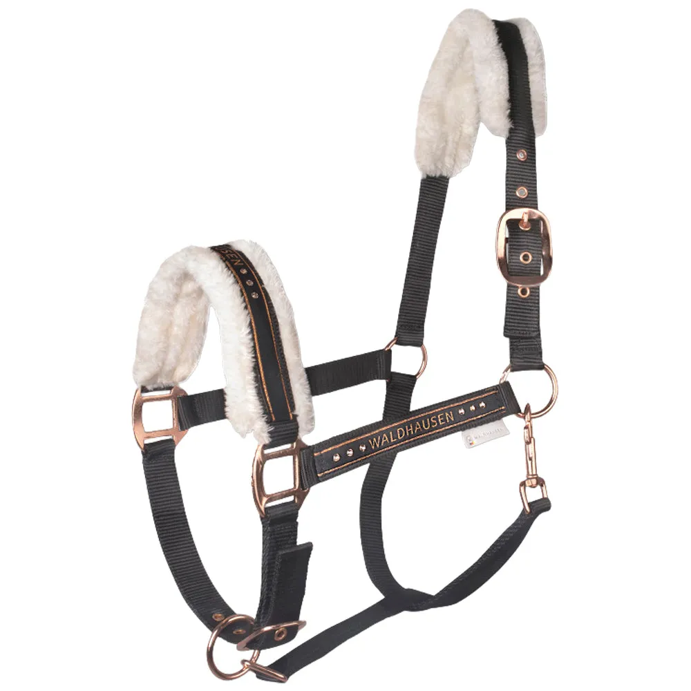 Beikircher Grünland Elegant capezza cavallo glitter imbottita