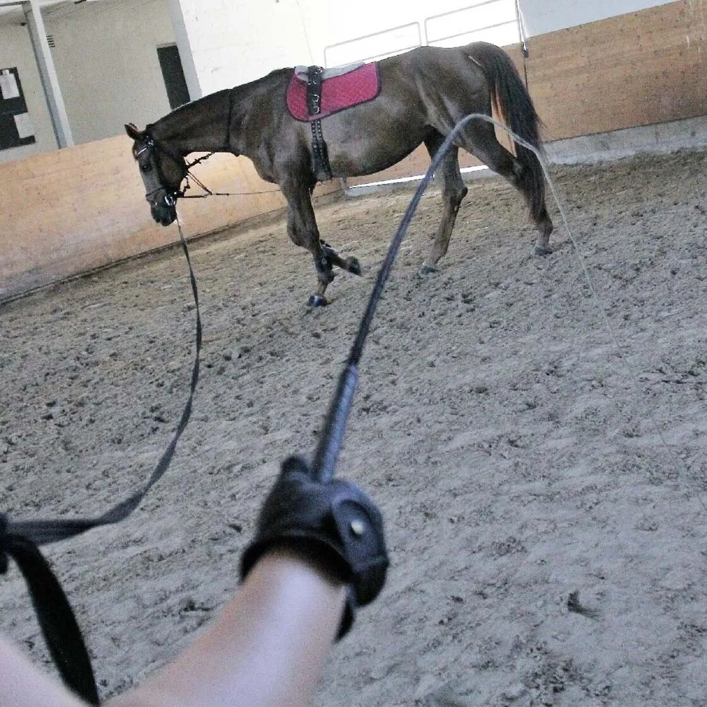 Beikircher Grünland frusta cavallo corda nylon vetroresina 180cm