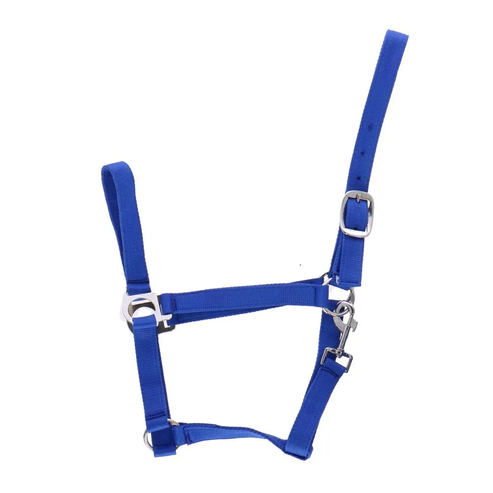 Beikircher Classic Cavezza Cavallo Nylon Doppia Treccia