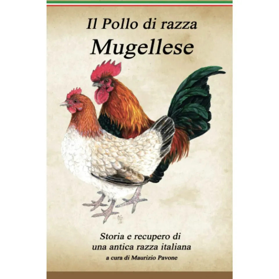 Il Verde Mondo Il Pollo di Razza Mugellese libro avicoltura