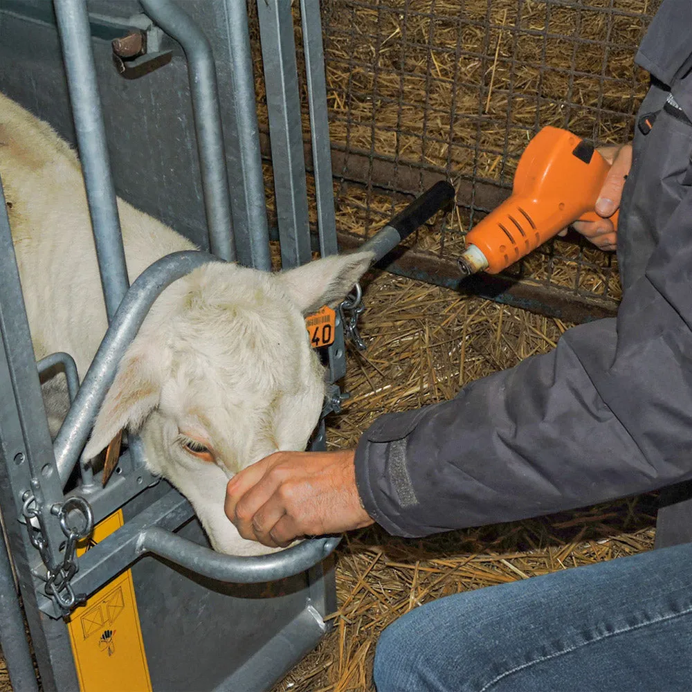Decornatore vitelli Horn Up a batteria senza filo