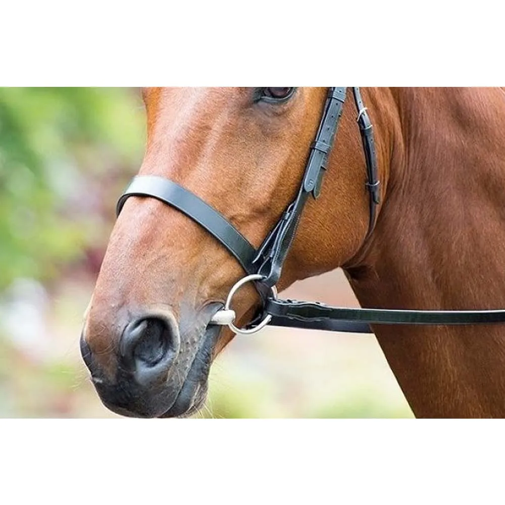 Beikircher Grünland filetto cavo morso cavallo inox 13,5cm