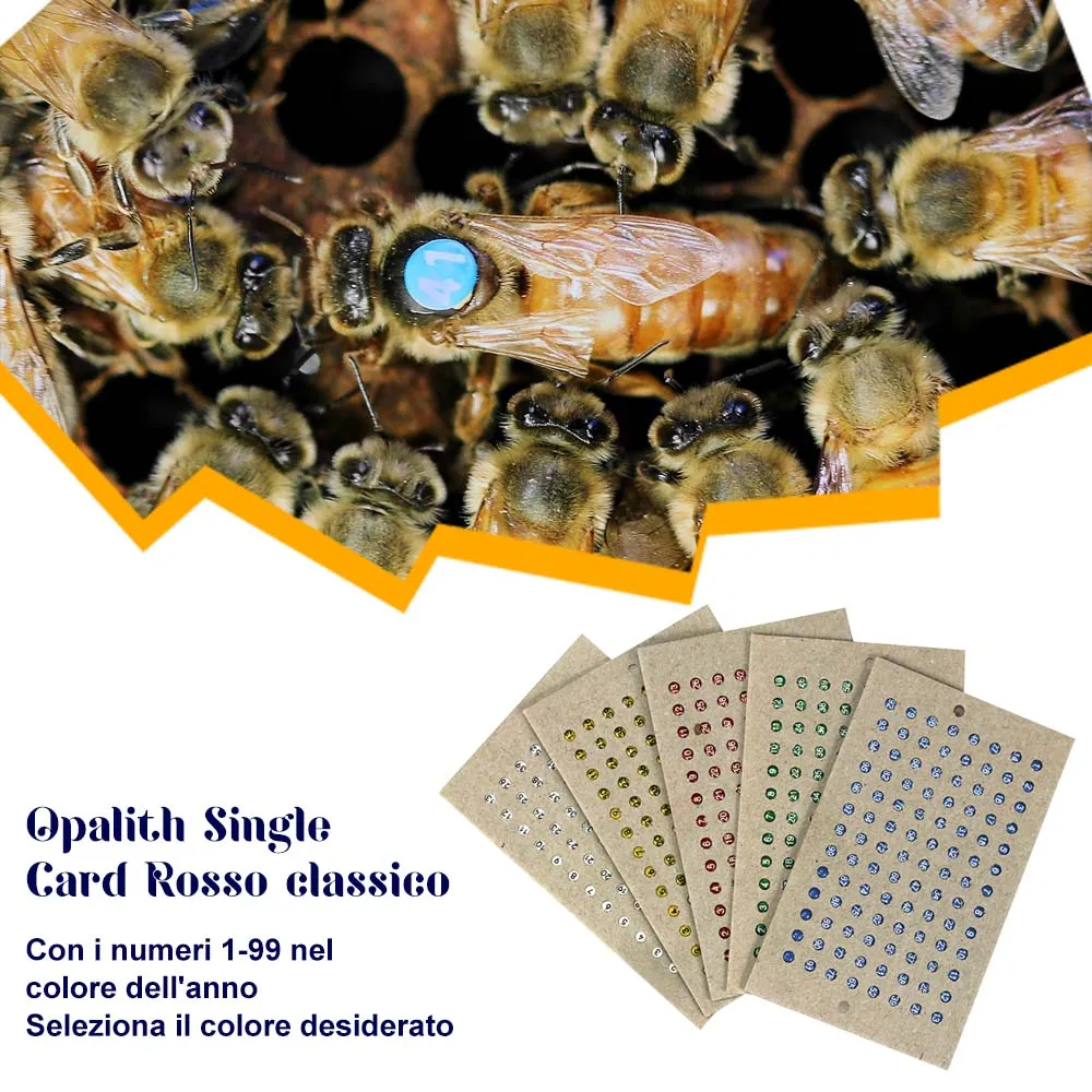 Opalith Single Card Classic placchetta regina rossa numeri 1-99