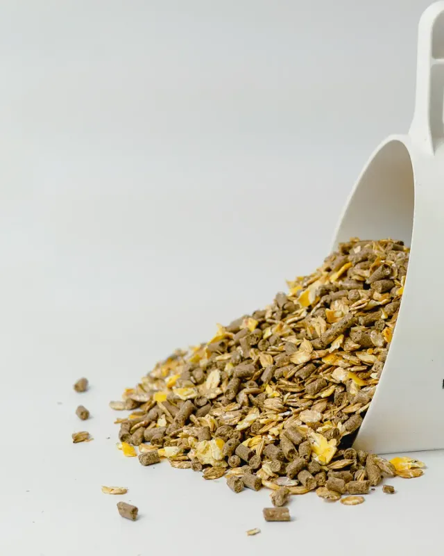 Siglhorse Lieblings-Müsli muesli vitaminico cavalli