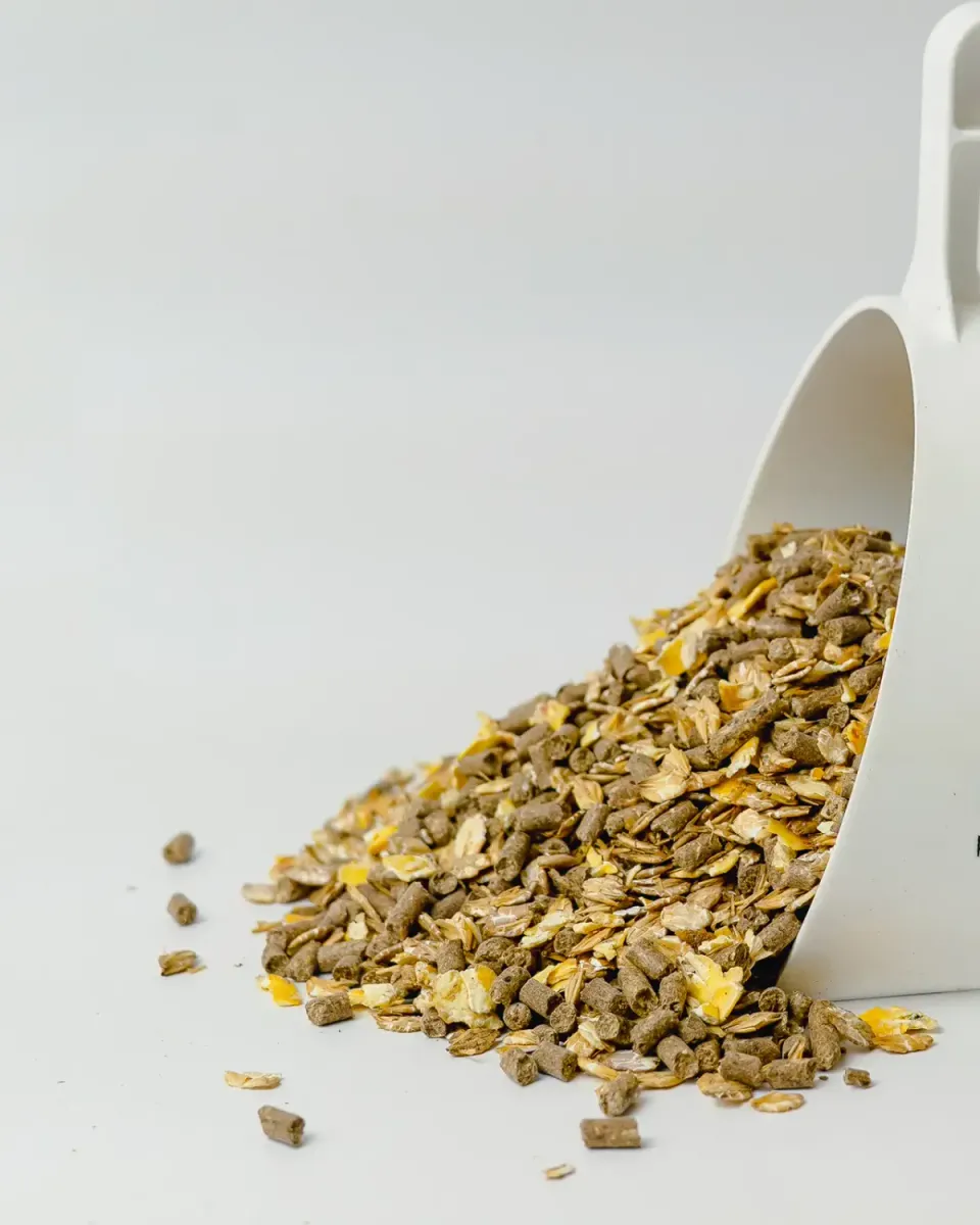 Siglhorse Lieblings-Müsli muesli vitaminico cavalli