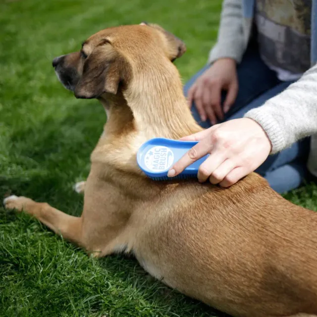 Beikircher Grünland MagicBrush Spazzola Cane Pelo Corto