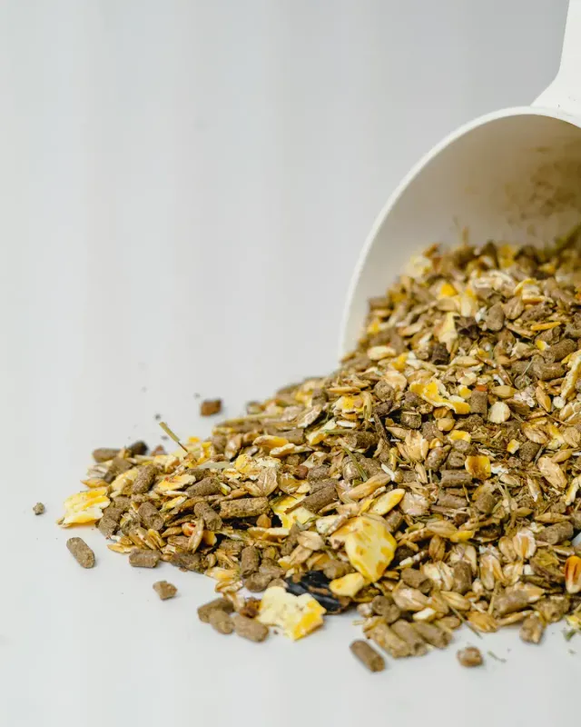 Siglhorse Alm-Glück Muesli per Cavalli con Carota
