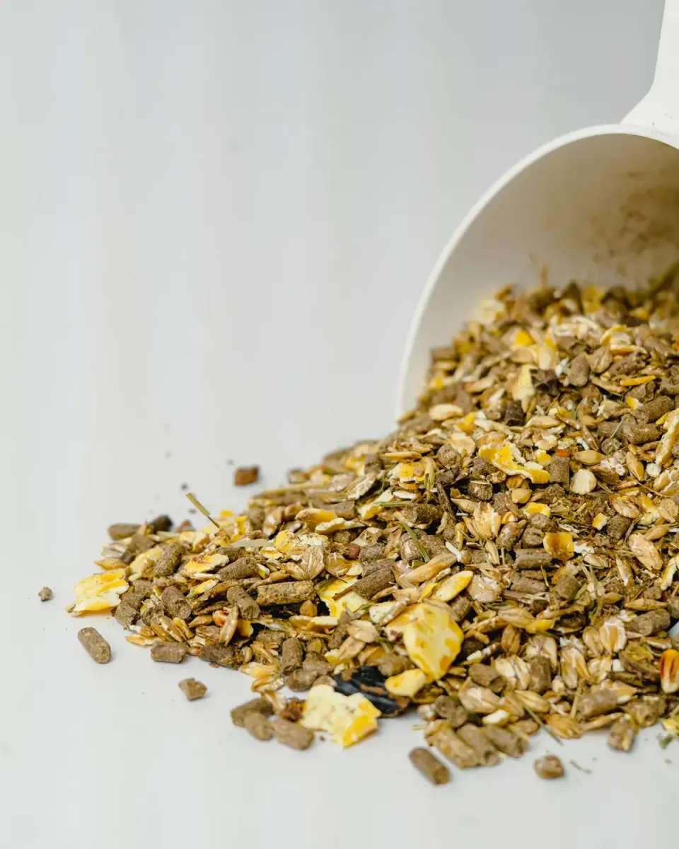Siglhorse Alm-Glück Muesli per Cavalli con Carota