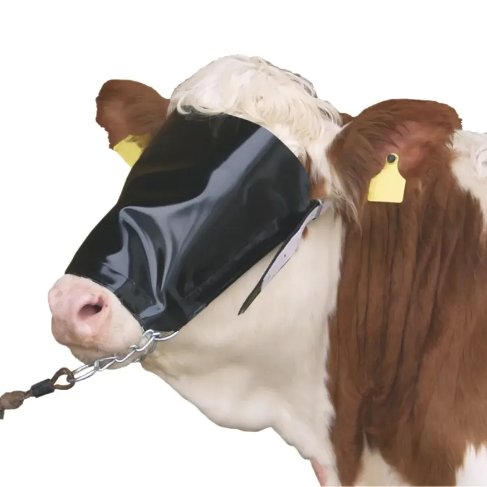 Beikircher Grünland Maschera Copriocchi Bovini con Capezza e Catena