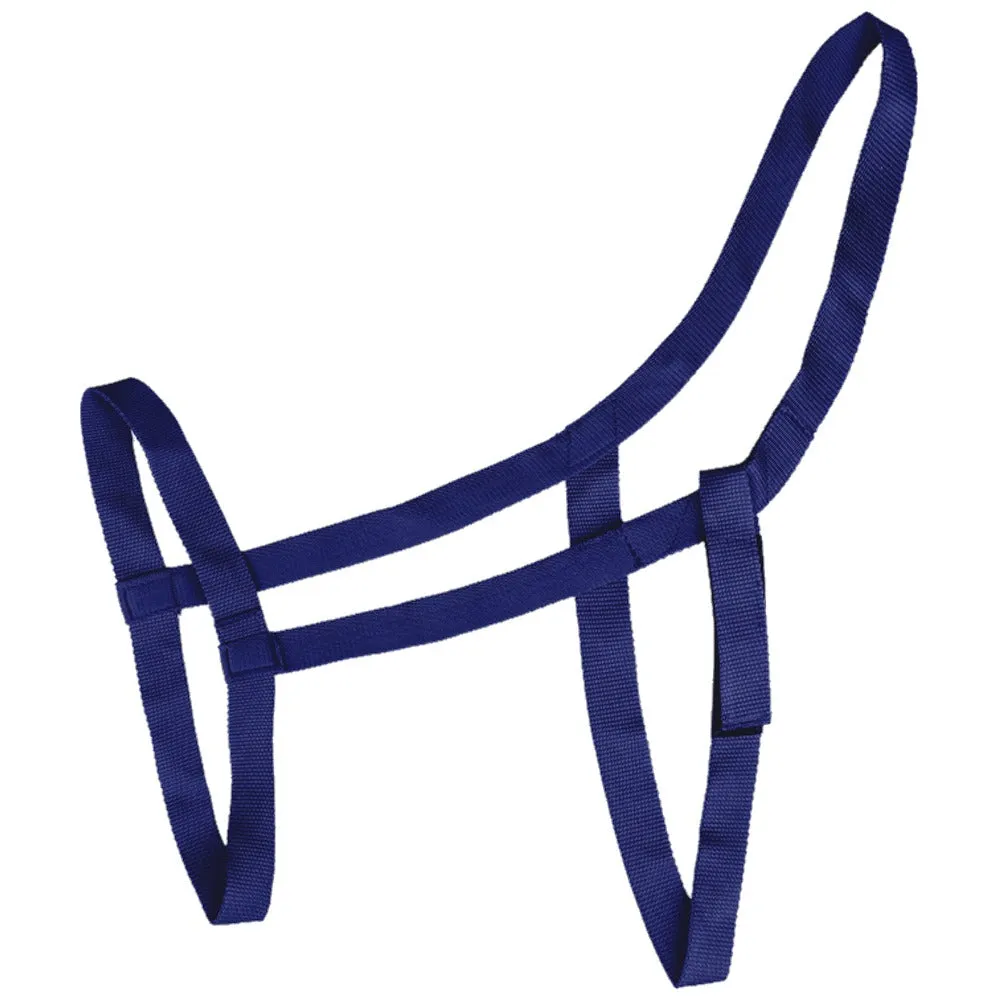 Capezza pascolo cavallo sicurezza strappo velcro