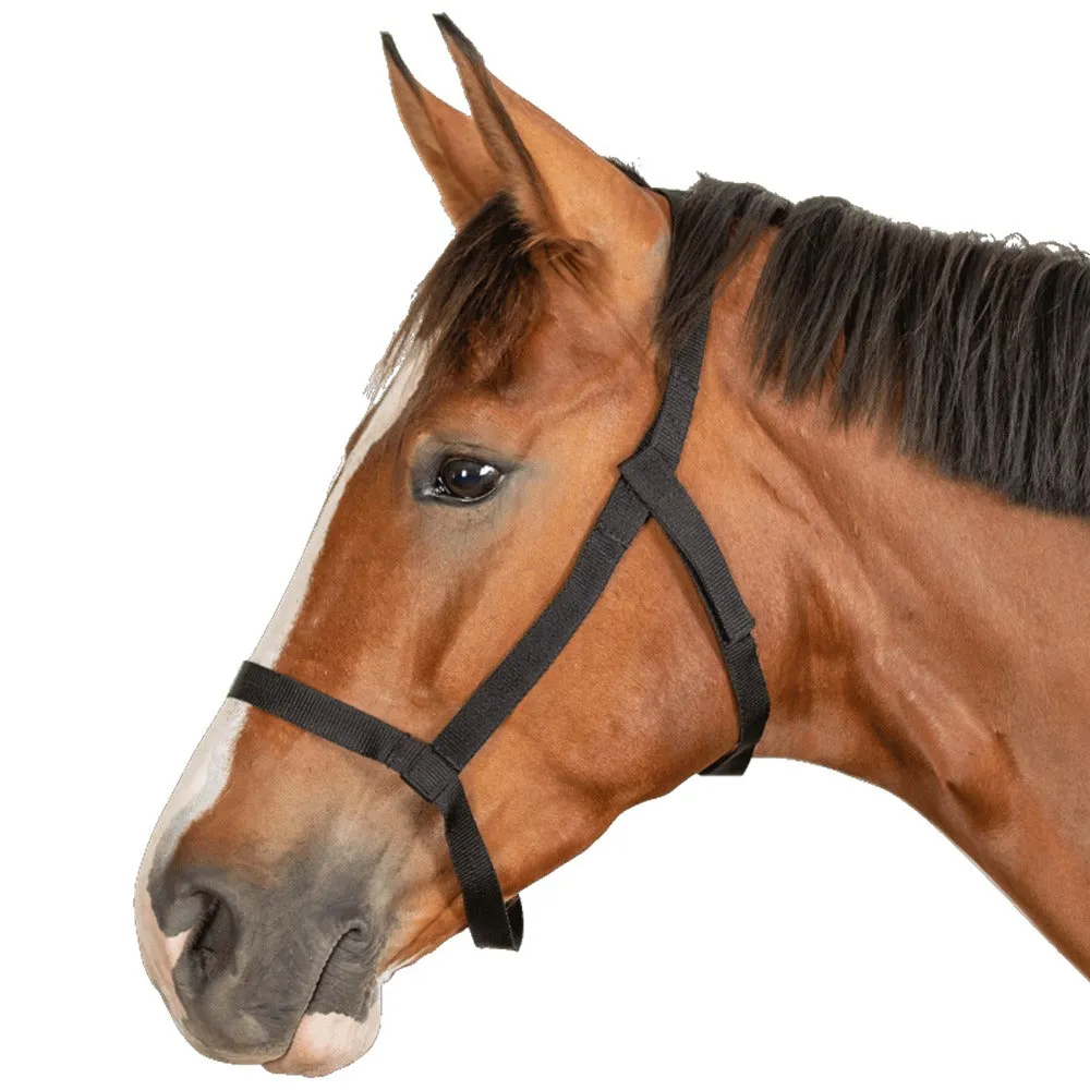 Capezza pascolo cavallo sicurezza strappo velcro