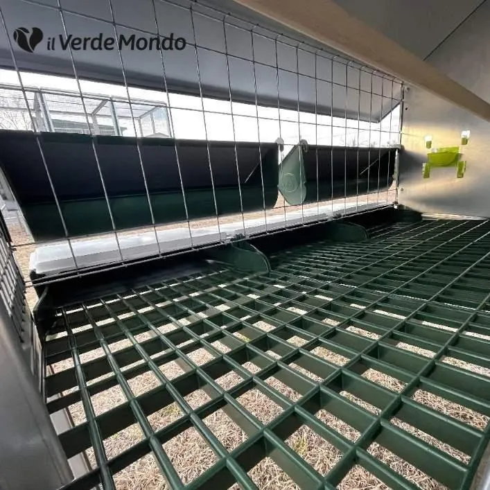 Il Verde Mondo Araucana pollaio ferro anti predatore