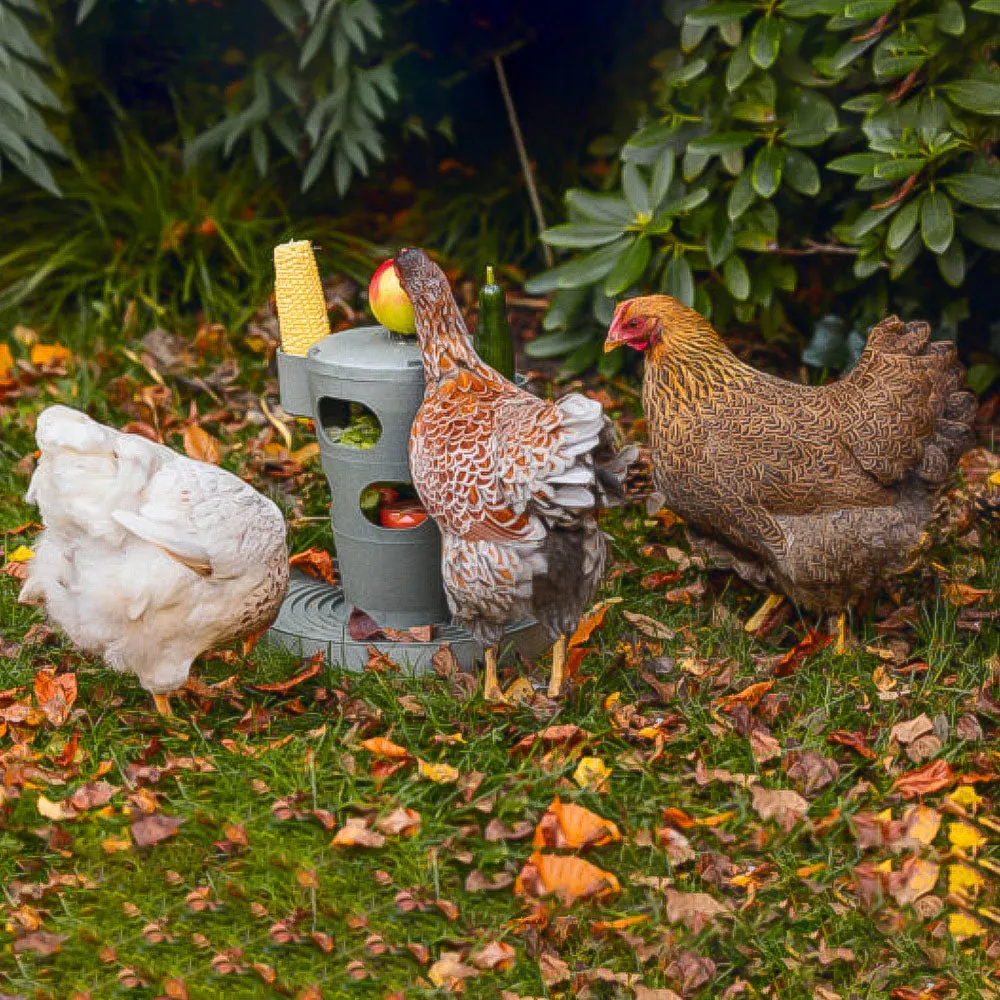 Beikircher Grünland Food Tour distributore snack galline riciclato
