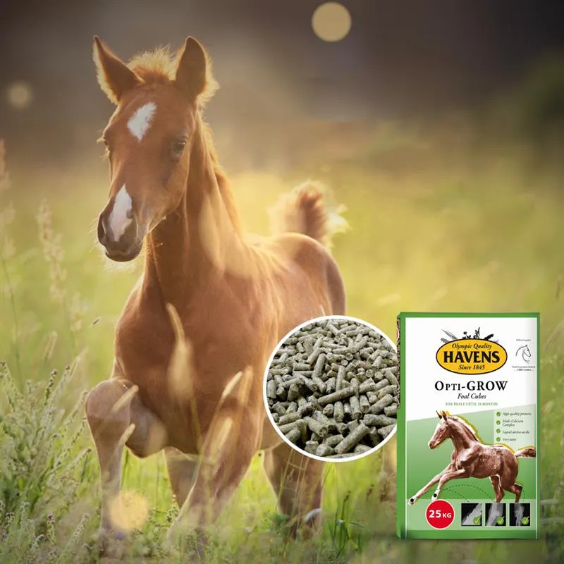 Havens Opti-GROW mangime puledri 25kg cubetti