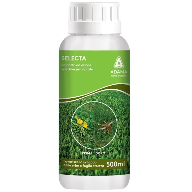 Adama Selecta diserbante selettivo prato 500ml ferro