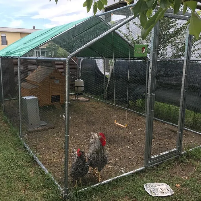 Il Verde Mondo Cocincina Plus kit pollaio 2x3 15 galline