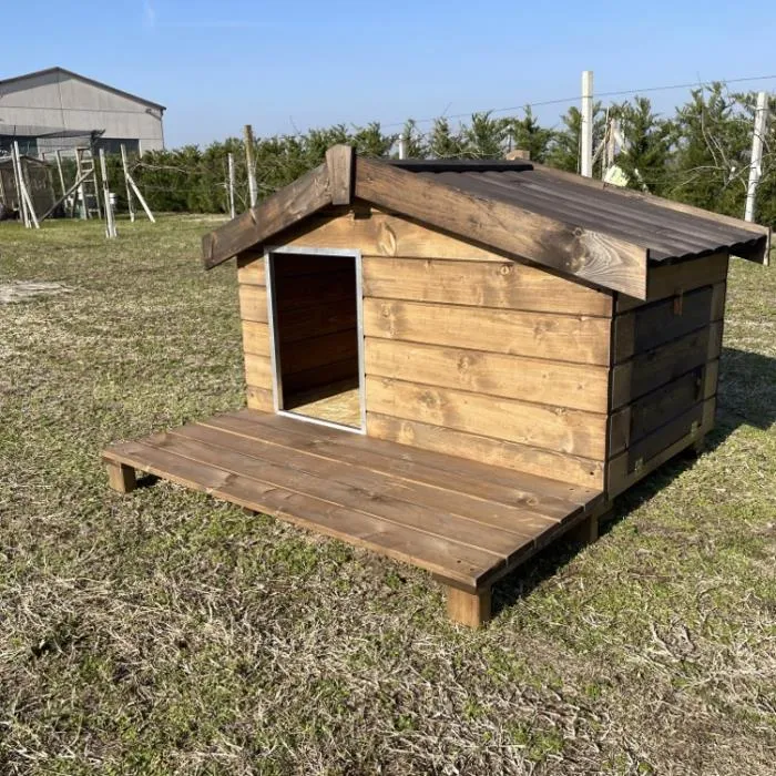 Il Verde Mondo Rex cuccia cane legno con terrazzo