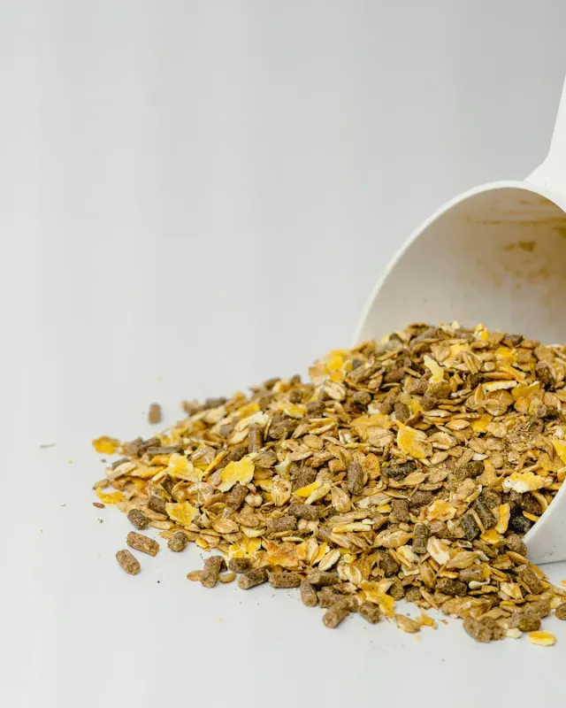 Siglhorse Energiebündel muesli cavalli energia 13,3 MJ