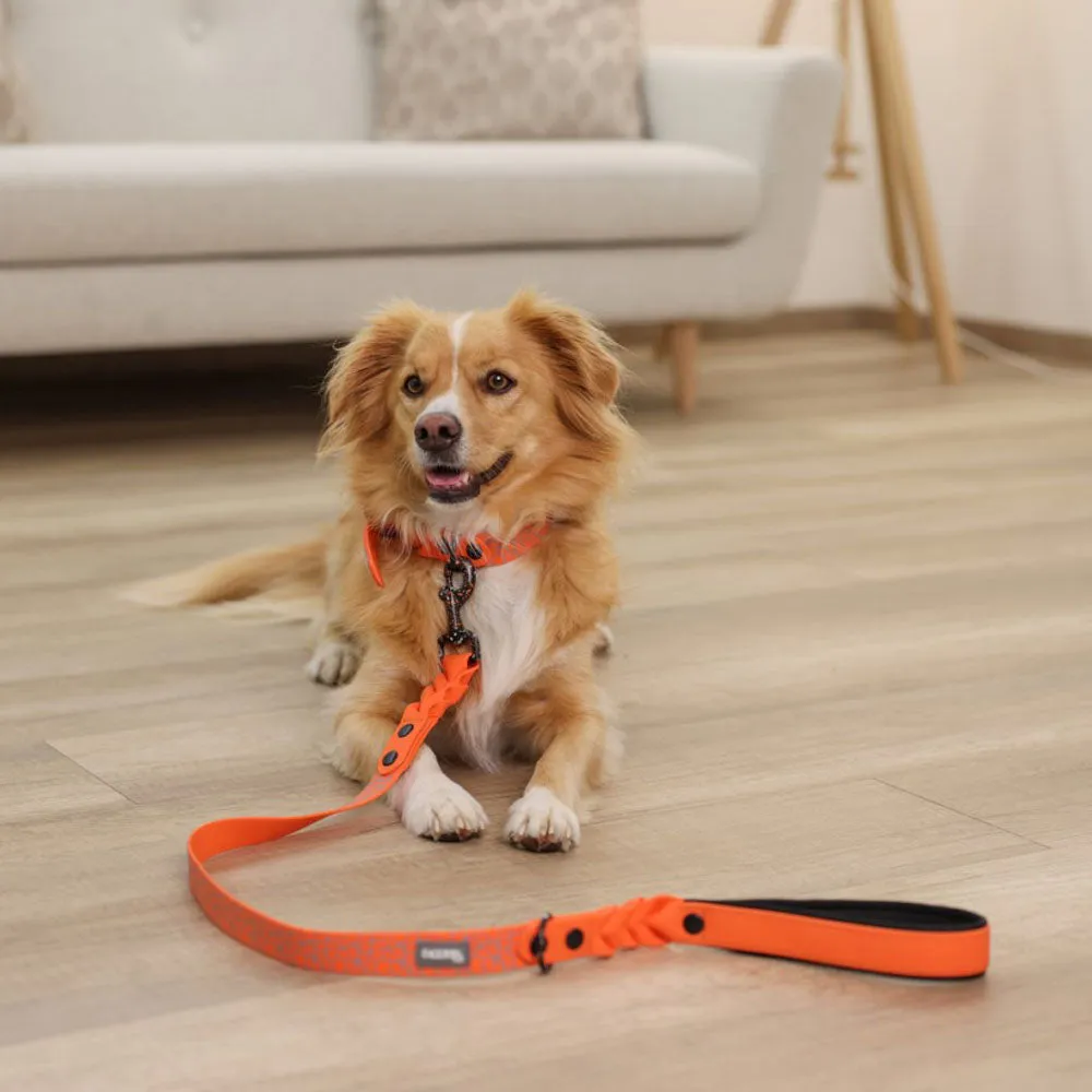 Puno Guinzaglio Cane Arancione 100 cm Catarifrangente